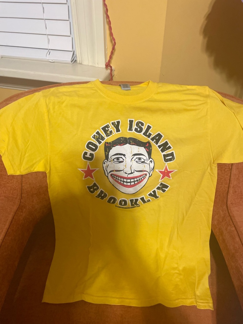 Coney Island Brooklyn Souvenir Graphic Tee - Yellow